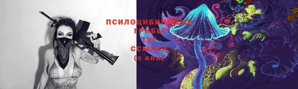 стаф Киреевск