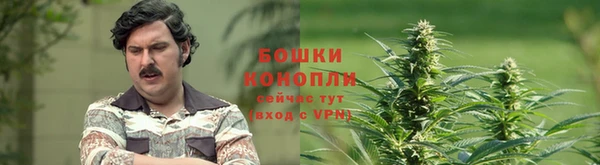 стаф Киреевск
