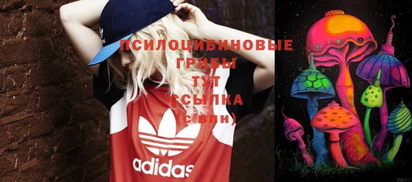 стаф Киреевск