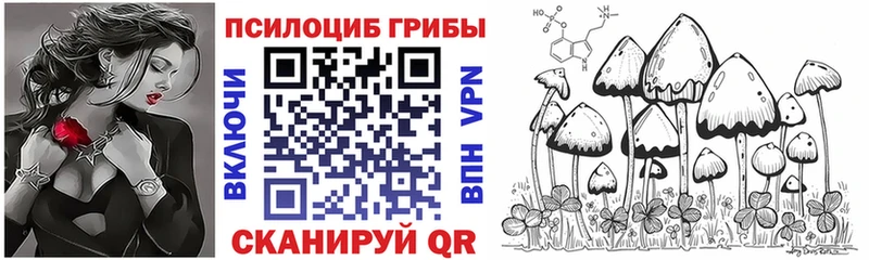 Купить где  Новокузнецк  Псилоцибиновые грибы Psilocybine cubensis