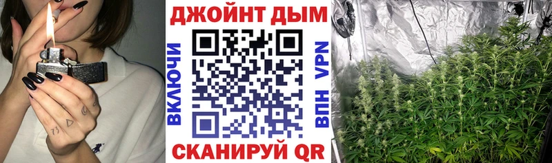 Конопля Bruce Banner  Купить закладки  Новокузнецк 